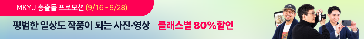 월별 프로모션